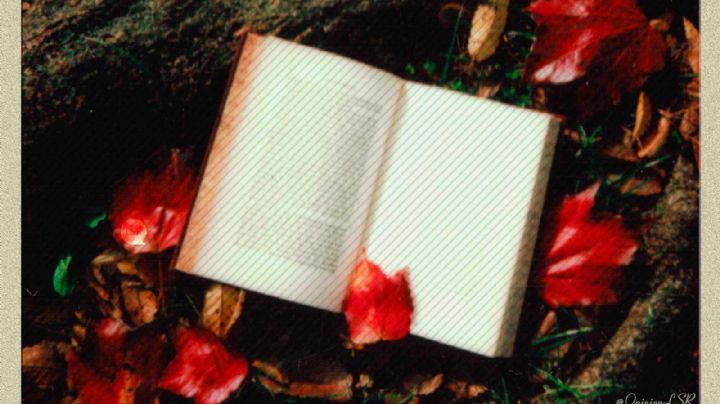 Distintas maneras de hacer familia