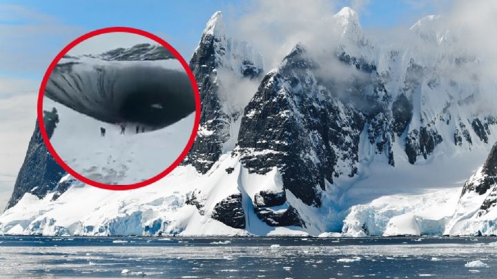 VIDEO: Turista muere aplastado por capa de hielo en la Patagonia