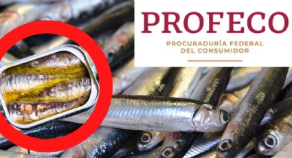 ¡Atento! Profeco da a conocer que marcas de sardinas no debes comprar