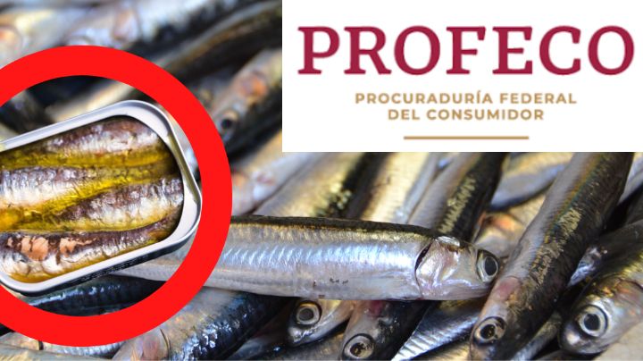 ¡Atento! Profeco da a conocer que marcas de sardinas no debes comprar