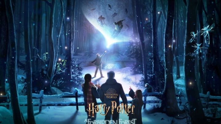 ¿Bosque Prohibido de Harry Potter en México? Aquí te contamos