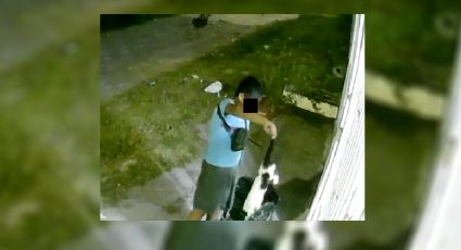 VIDEO: En Chivería alertan de niño que arroja gatos a casas con perros