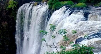 El Salto de Eyipantla, cascada veracruzana encantadora de visitar