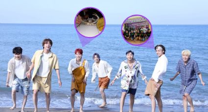 Be The Seed: Fans de BTS al rescate del cangrejo azul en Veracruz