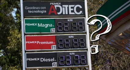 ¿Cuánto cuesta la gasolina más barata en Veracruz hoy 7 de noviembre?