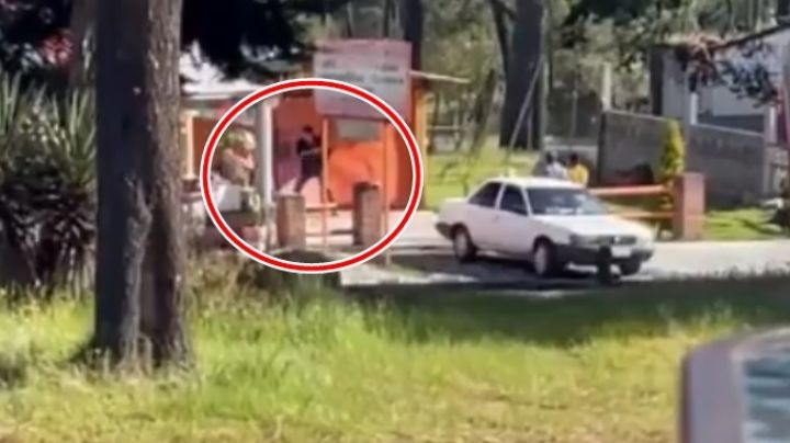 VIDEO: Perro es asesinado a palos en el Ajusco; Salinas Pliego condena el hecho