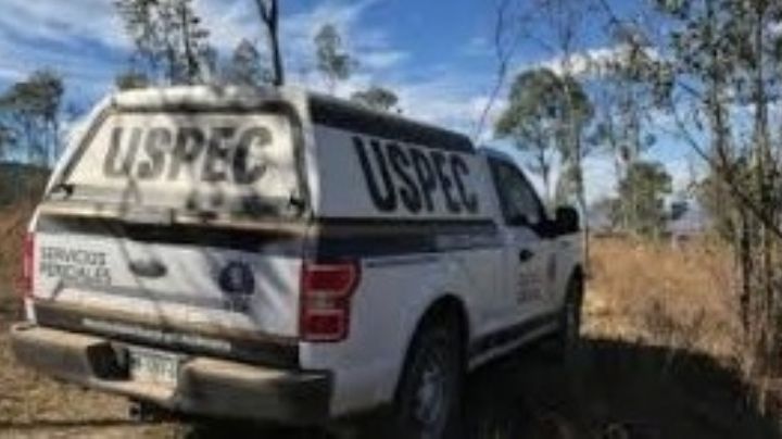 Hallan ocho víctimas enterradas en cuatro narcofosas de Tarímbaro, Michoacán