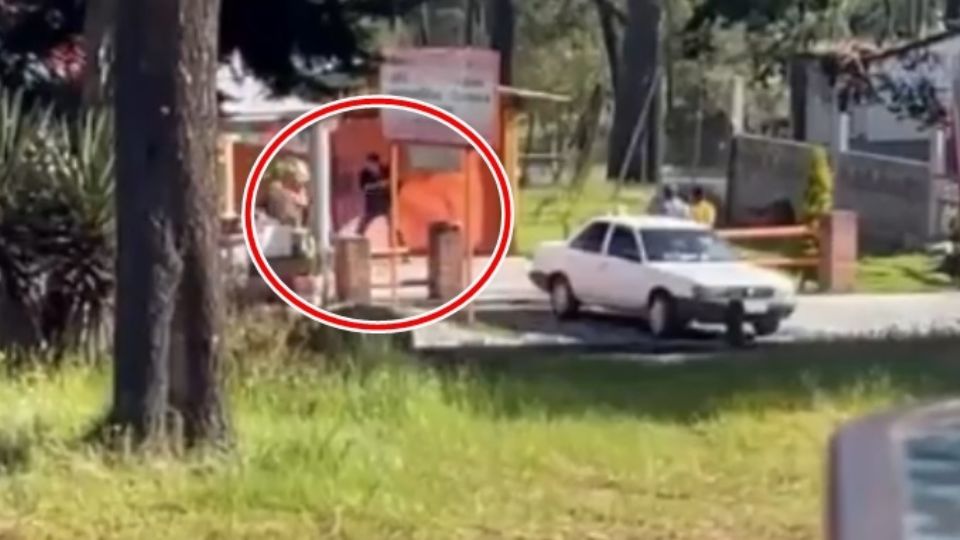 En un video fue captado el momento de la agresión contra el can en la Cabaña el Buen Gusto