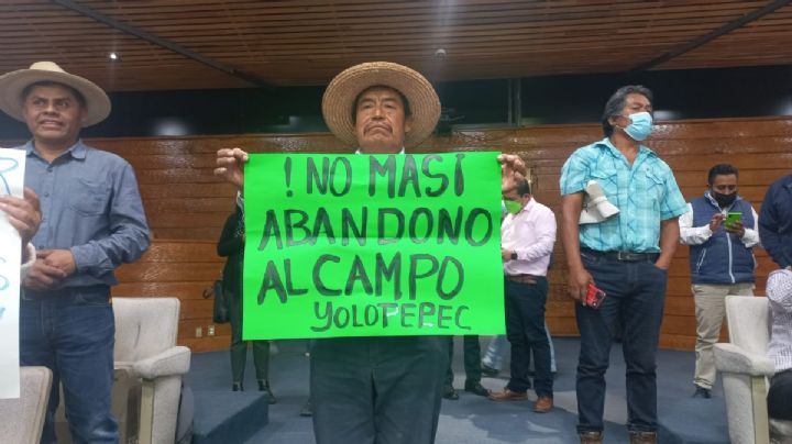 “No más abandono al campo”, pide diputada destinar 2% del presupuesto anual