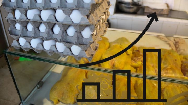 Esto son los supermercados con la canasta básica más barata en México: PROFECO