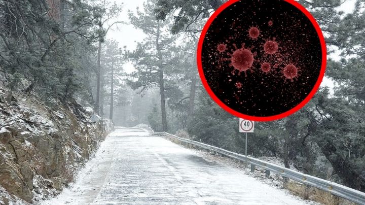Fríos y nevadas cobran 8 vidas por influenza en Baja California