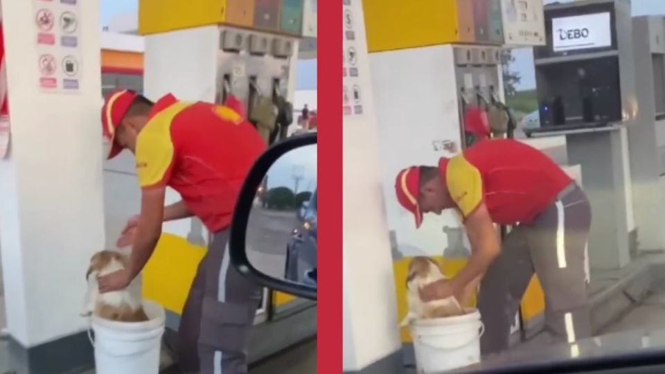 Hombre bañando a perrito callejero en estación de gasolina