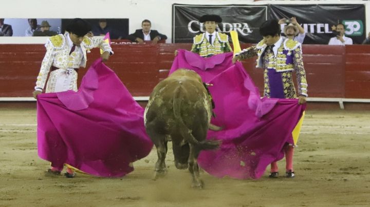 Toros en León: surge la “adamemanía”