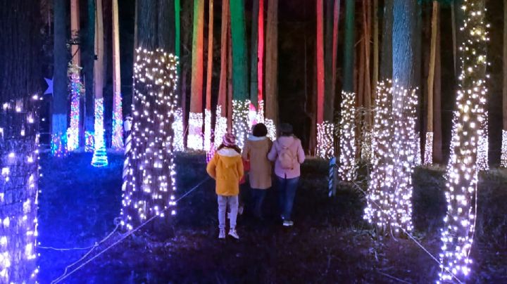 ¿No sabes dónde dominguear? Lánzate a Naviland en el Real