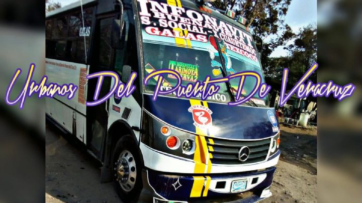 Niño peregrino muere tras sacar la cabeza en autobús de Veracruz