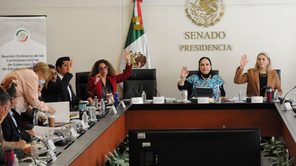 Votación en la Comisión de Gobierno, del Senado
