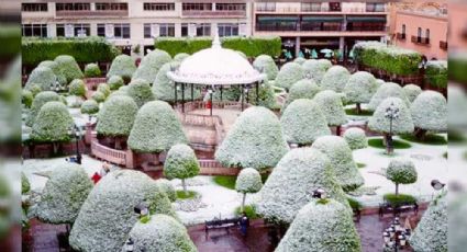 “Me casé en la nevada”: el mejor recuerdo de su boda