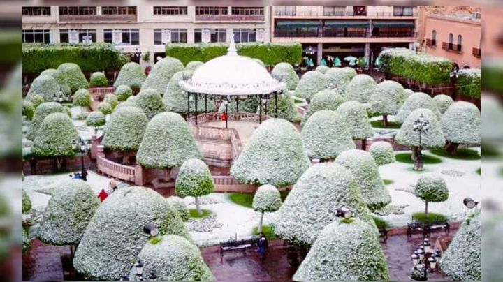 “Me casé en la nevada”: el mejor recuerdo de su boda