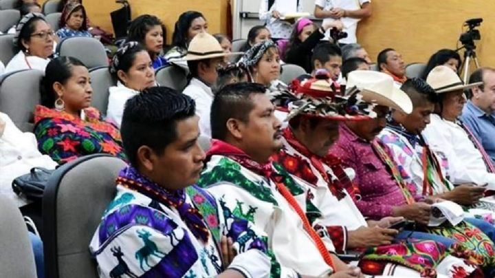 Propone Comisión del INE incrementar distritos electorales locales indígenas