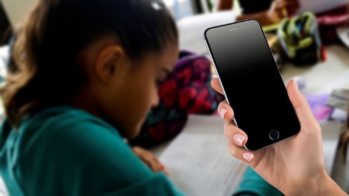 ¿Cómo descargar la boleta actualizada de la SEPH 2022?