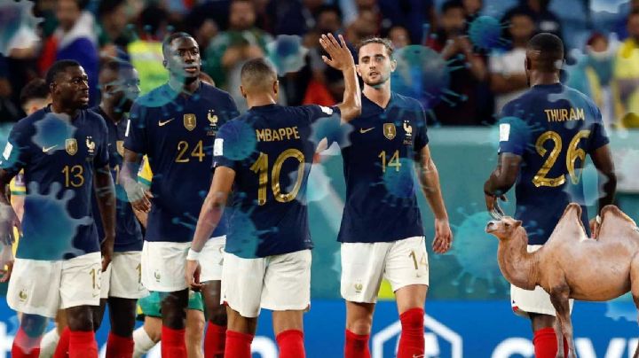 El "virus del camello" ataca a los jugadores de Francia previo a la final del Mundial