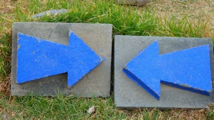 ¿La rebeldía es de derecha?