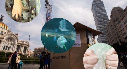 Plástico de Amazón y Mercado Libre ahogan océanos:exigen regular envíos