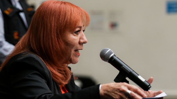 Rosario Piedra pide disculpas por presentar carta de recomendación falsificada