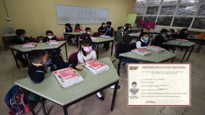 ¿Perdiste tu certificado de primaria o secundaria? Así lo puedes recuperar