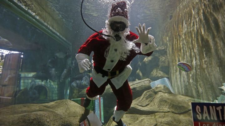 FOTOS: Santa Claus bucea en el Zoológico de Guadalajara