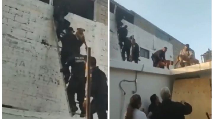 VIDEO: El heróico rescate de 10 perritos durante un incendio en Tultitlán