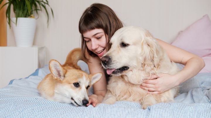 Diversidad familiar: garantizar derechos