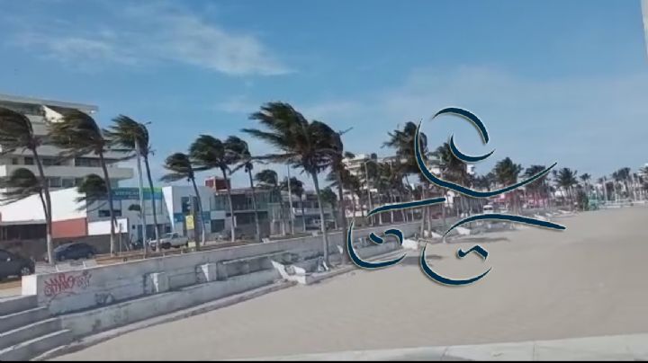 Protección Civil activa alerta gris por próximo norte que impactará Veracruz