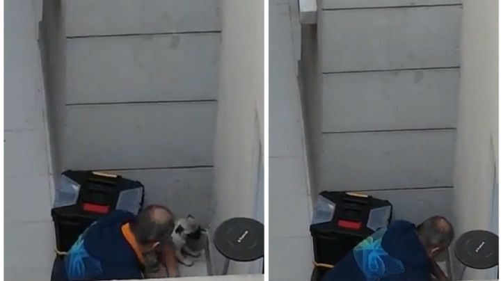 Denuncian a sujeto que maltrata a cachorrita pug en Venustiano Carranza