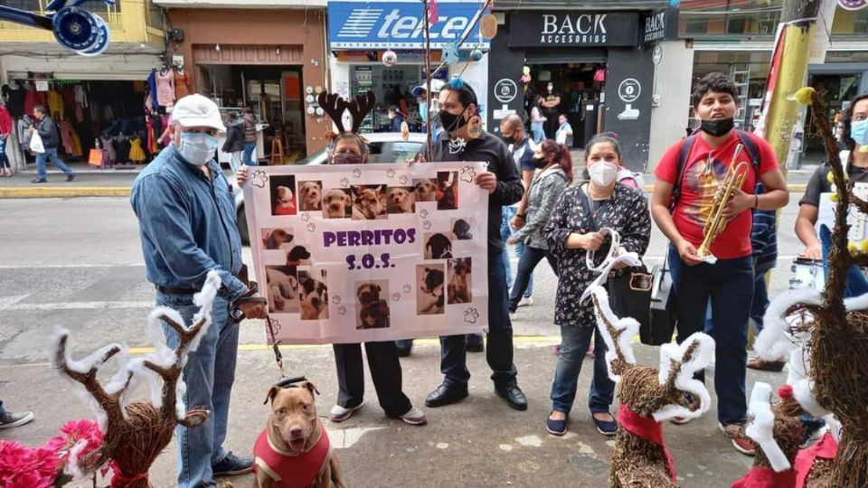 Elizabeth y su organización 'Perritos SOS Xalapa' afirman que estas fechas representan otra oportunidad de hacerse de recursos para los perritos abandonados que han ido rescatando a lo largo de tres años.