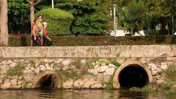 Liberan peces en laguna convertida en colosal fosa séptica en Tabasco