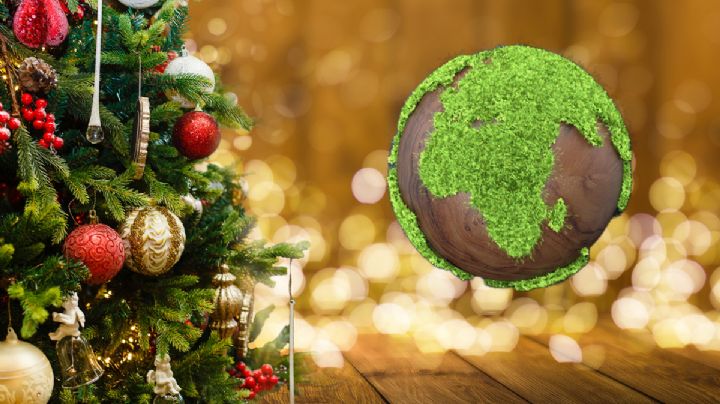 ¿Qué hacer con el Árbol de Navidad? estos son los puntos de acopio en Pachuca