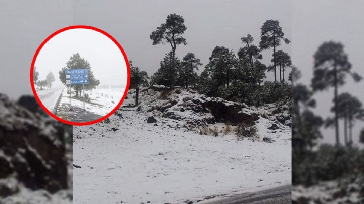 Localizan a 12 personas que se habían extraviado en el Ajusco; entre ellos 4 menores