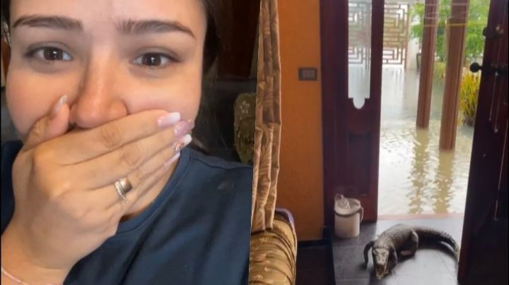 VIDEO: Mujer es sorprendida por cocodrilo en su puerta