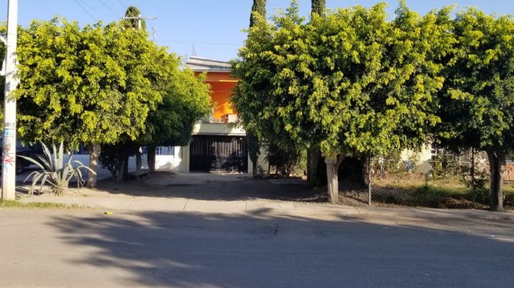 Basura, malos olores y alcohol por bar clandestino en Cuerámaro