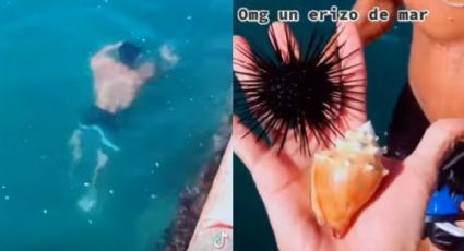 VIRAL: Saca monedas sorprende a turistas con erizo de mar en Veracruz