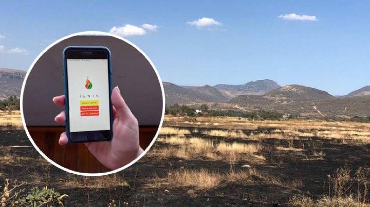 Profesora y alumno idean aplicación para registrar distintos tipos de incendios