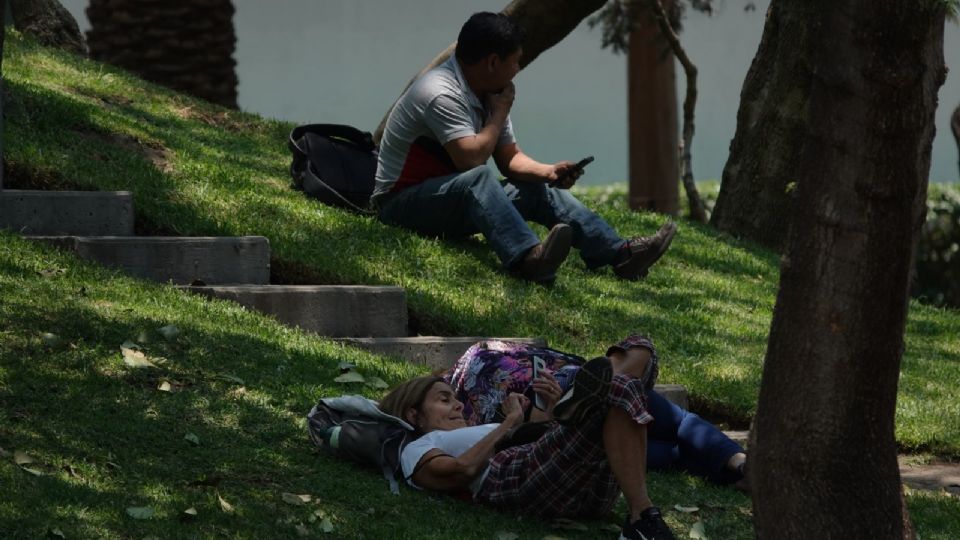 ¿Por fin tendremos un clima agradable este miércoles 7 de diciembre en la CDMX?