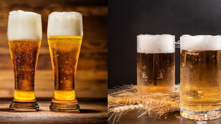 Conoce las dos familias cerveceras para convertirte en experto