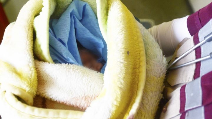 Recién nacido es abandonado en caja de zapatos en Veracruz