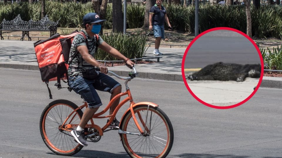 El afectado Josafat permaneció tirado por más de 20 minutos, hasta que hizo de su arribo una ambulancia de Cruz Roja