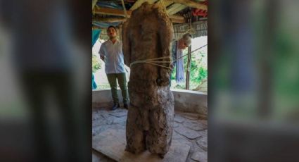 Tren Maya: hallan escultura de guerrero decapitado en zona arqueológica