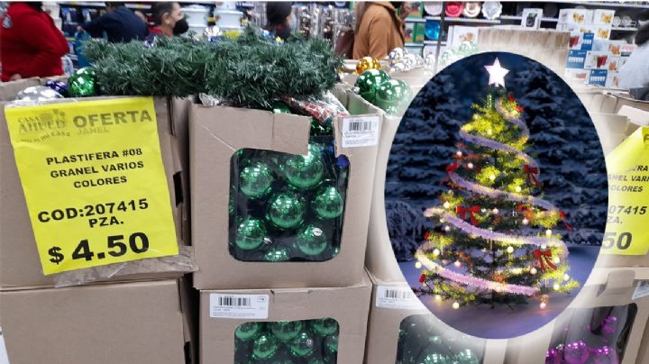 ¿No lo has puesto? Esto cuestan los pinos de navidad en Xalapa