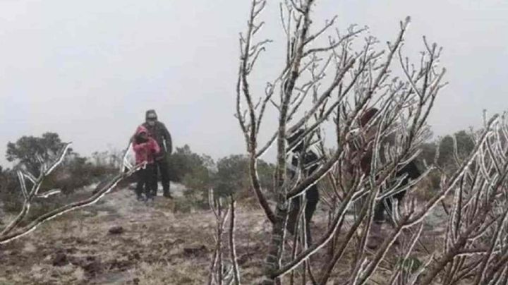 Alerta gris: estos municipios de Veracruz amanecerán a -5 grados por frente frío