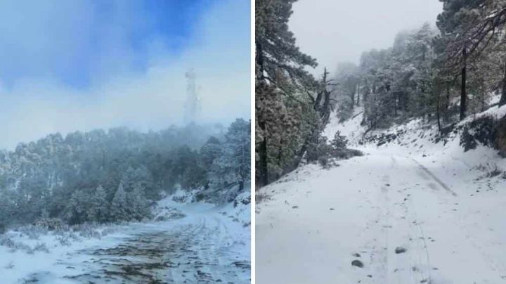 Primera tormenta invernal en México afectará a estos estados